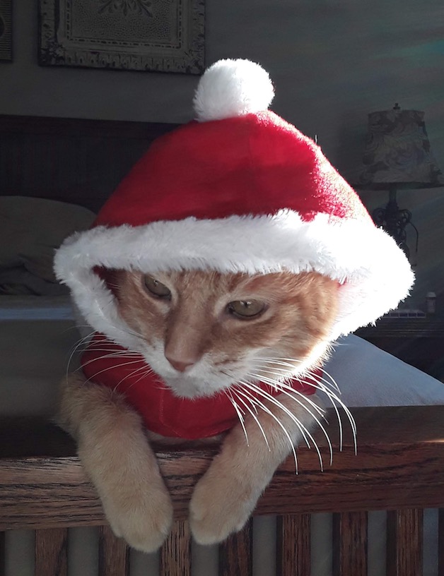 2018-12-12_14-37-21.jpeg