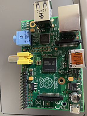 raspberry.jpeg